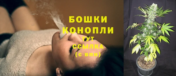 ПСИЛОЦИБИНОВЫЕ ГРИБЫ Лабытнанги