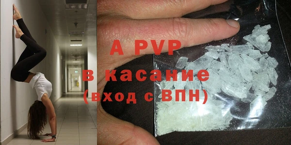 ПСИЛОЦИБИНОВЫЕ ГРИБЫ Лабытнанги