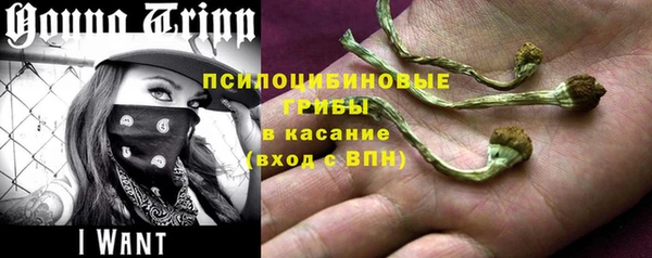 ПСИЛОЦИБИНОВЫЕ ГРИБЫ Лабытнанги