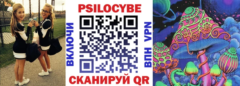 Псилоцибиновые грибы Cubensis Нальчик