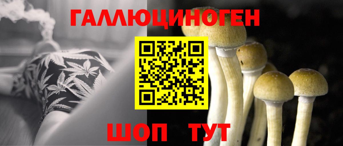 Псилоцибиновые грибы Cubensis  Вход с VPN  Нальчик 